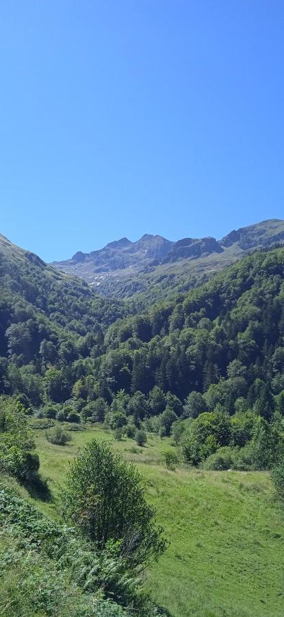 Studio Le Mont Beas 奥吕莱班 外观 照片